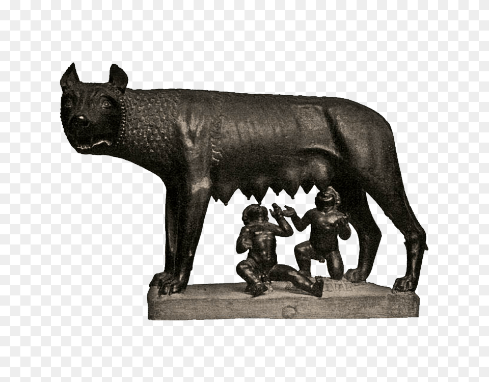 Romulus Remus Wolf, Bronze, Figurine, Person, Animal Free Png Download