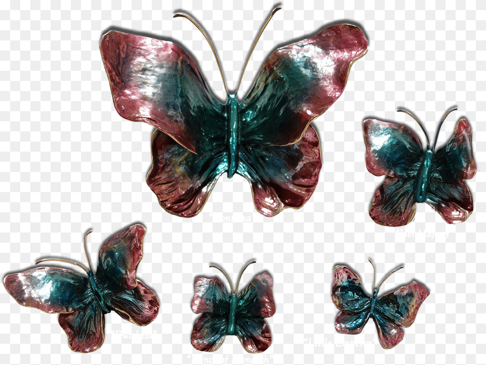 Ron Amp Sheila Ruiz Indigo Butterfly Exposures International Exposures International Gallery, Accessories, Gemstone, Jewelry, Ornament Png Image