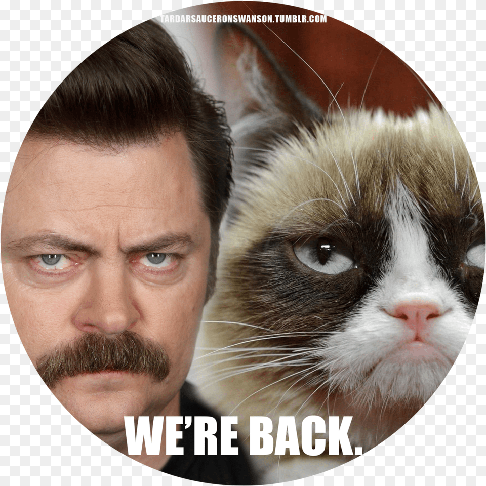 Ron Swanson Grumpy Cat Grumpy Cat The Movie Parks And Grumpy Cat Stupid Meme, Photography, Person, Face, Head Free Transparent Png