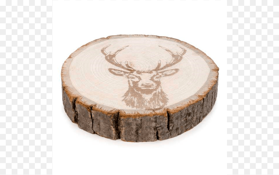 Rondin De Bois Cerf, Plant, Tree, Tree Stump, Wood Png