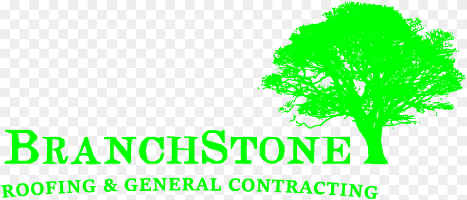 Roofing General Contractor Oak Tree Silhouette, Vegetation, Green, Plant, Sycamore Free Png Download