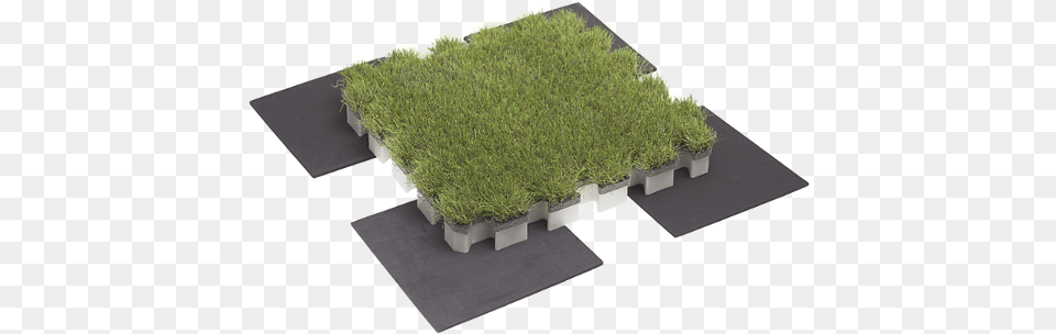 Roofingreen Nature Drain System, Grass, Jar, Moss, Plant Free Png