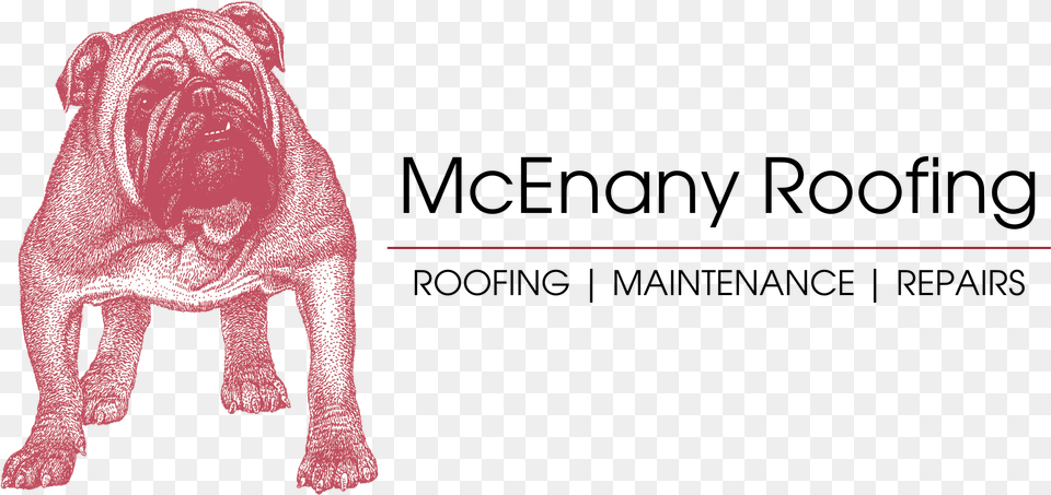 Rooftop Renascence Bulldogge, Animal, Canine, Mammal, Pet Free Transparent Png