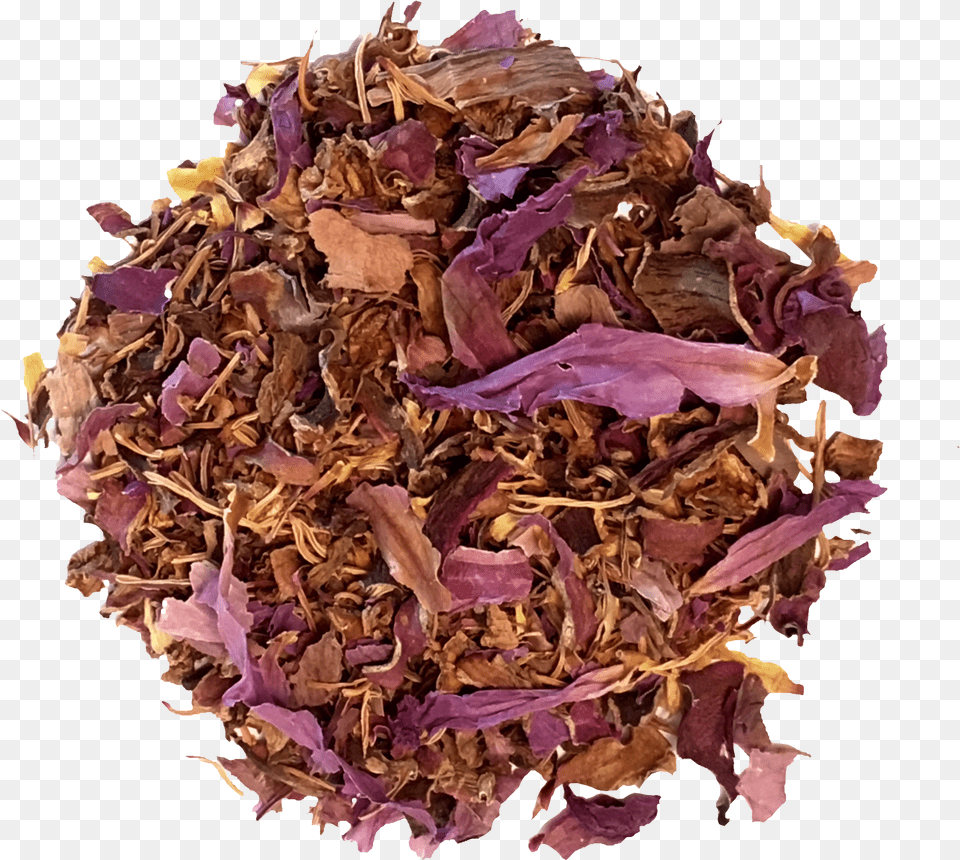 Rooibos, Herbal, Herbs, Plant, Tobacco Png Image