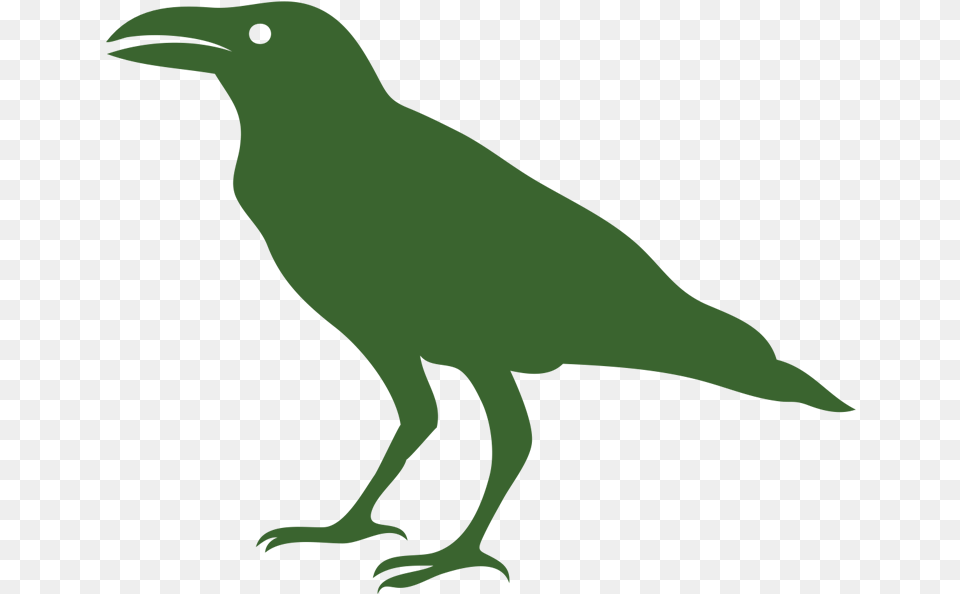 Rook Family Icon, Animal, Beak, Bird, Dinosaur Png Image