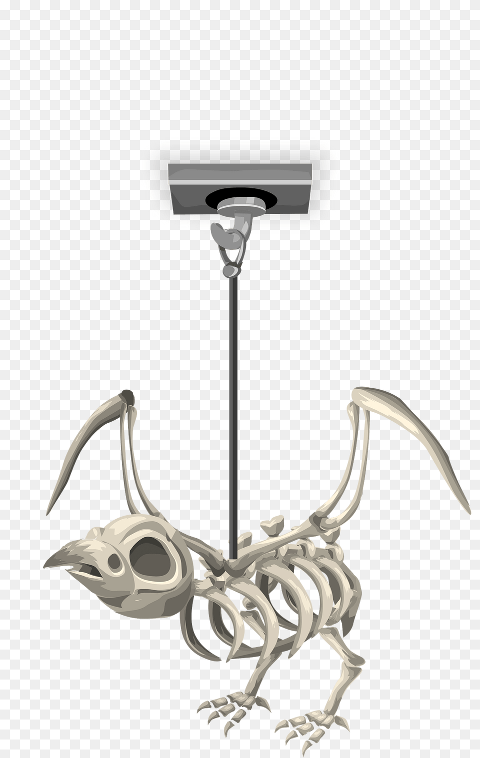 Rook Skeleton Ceiling Decor Clipart, Electronics, Hardware Free Transparent Png