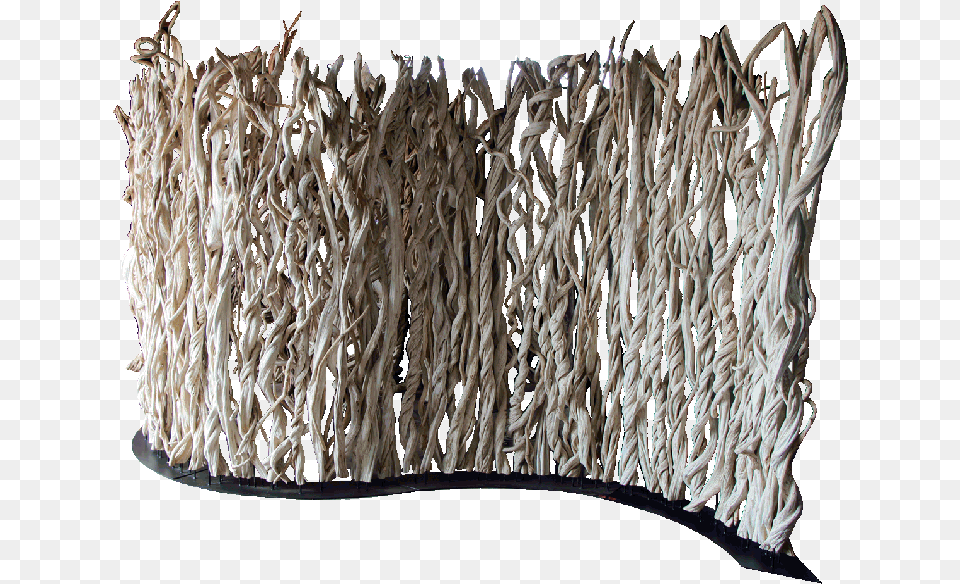 Room Divider Made With Tropical Vines Pictured In A Wood, Driftwood, Plant Free Png
