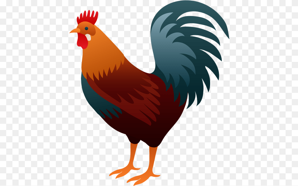 Rooster 1 Rooster Clipart, Animal, Bird, Fowl, Poultry Png Image