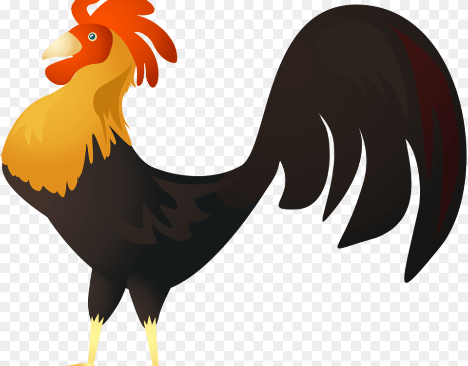 Rooster, Animal, Bird, Vulture, Beak Free Png