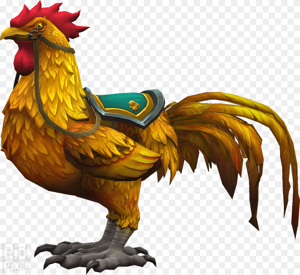 Rooster, Animal, Bird, Chicken, Fowl Png Image