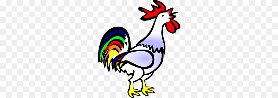 Rooster Animal, Bird, Chicken, Fowl Png Image