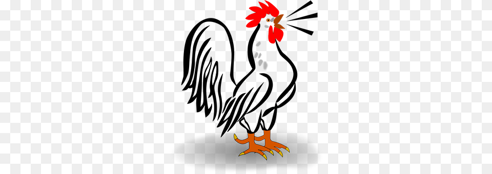 Rooster Animal, Bird, Poultry, Fowl Free Png
