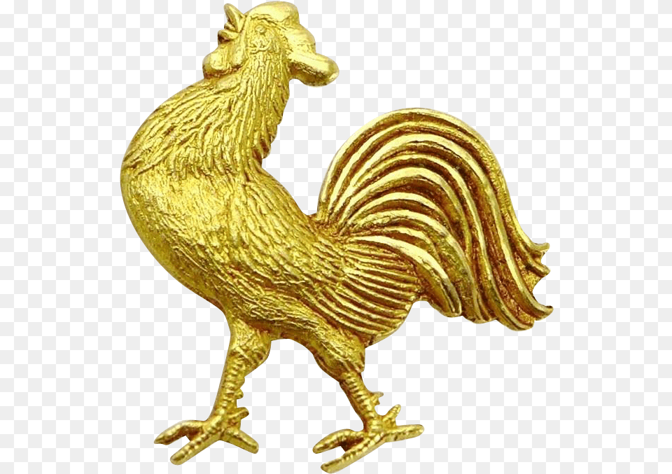 Rooster, Animal, Bird, Chicken, Fowl Png Image