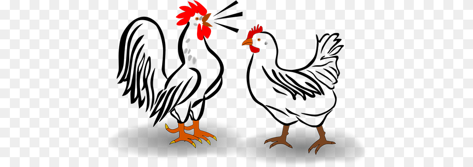 Rooster Animal, Bird, Fowl, Poultry Free Png