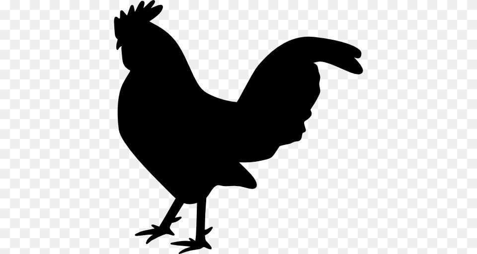 Rooster, Silhouette, Animal, Bird, Fowl Png