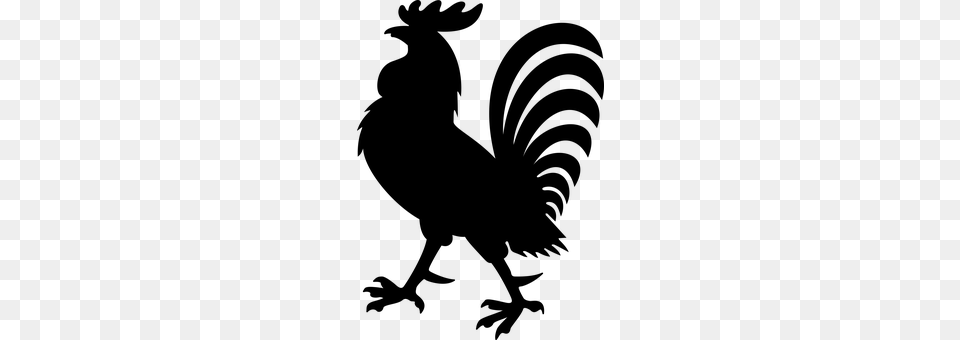 Rooster Gray Free Transparent Png