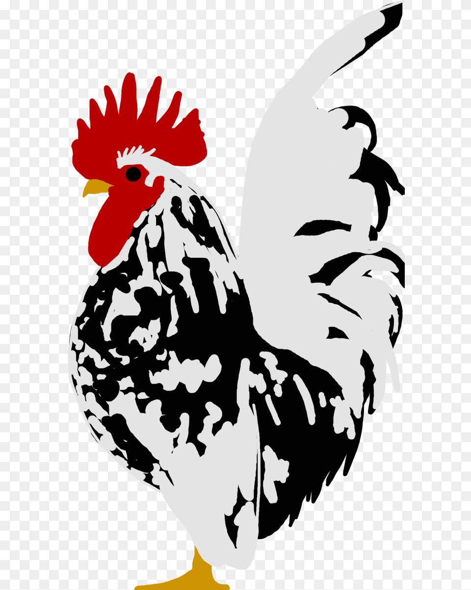 Rooster, Animal, Poultry, Fowl, Bird Png Image