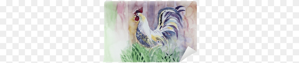 Rooster, Animal, Bird, Chicken, Fowl Free Transparent Png