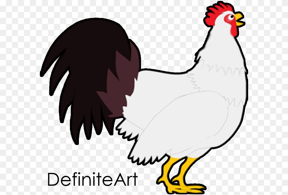 Rooster, Animal, Bird, Fowl, Poultry Free Png Download