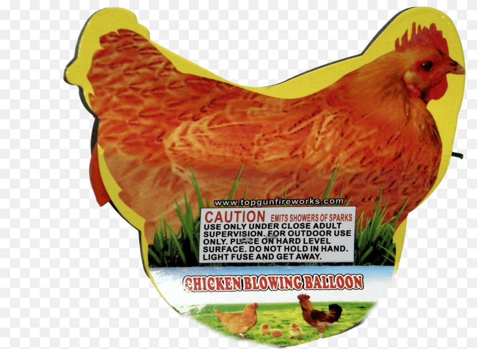 Rooster, Animal, Bird, Chicken, Fowl Png