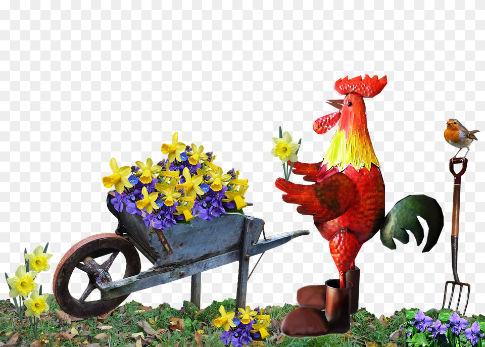 Rooster Plant, Flower, Flower Arrangement, Wheel Free Png