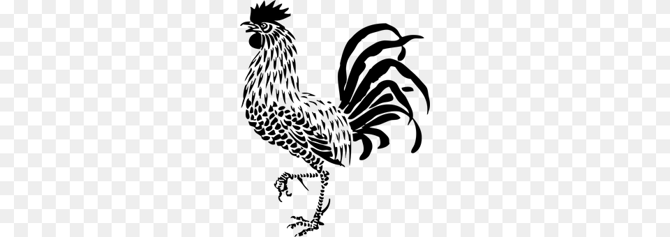 Rooster Gray Free Transparent Png