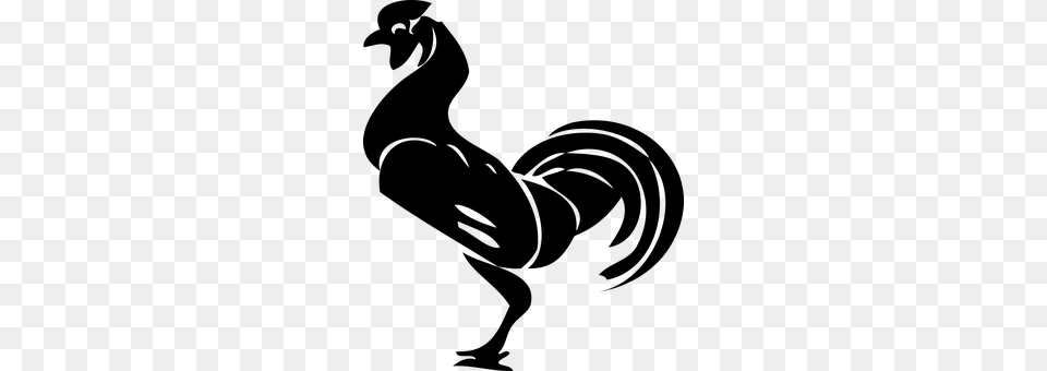 Rooster Animal, Bird Free Transparent Png