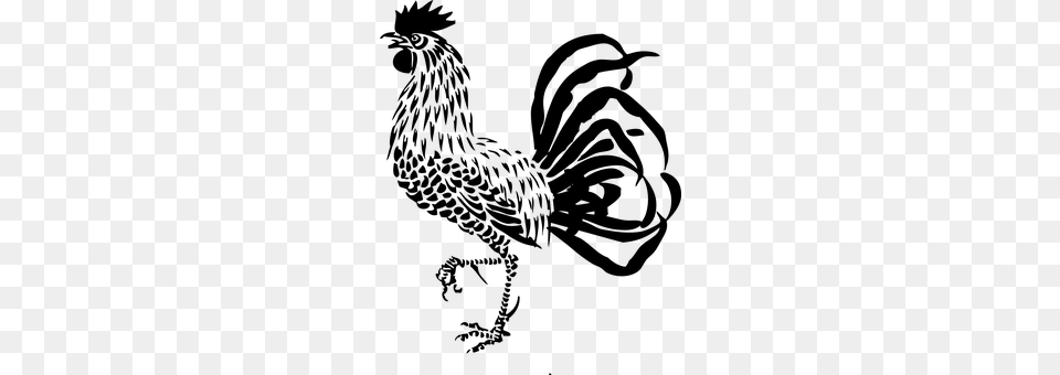 Rooster Gray Free Transparent Png