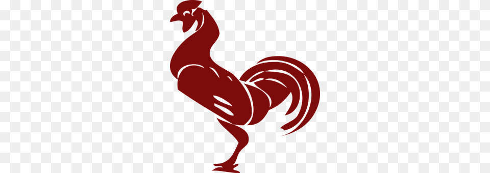 Rooster Adult, Person, Woman, Female Free Png Download