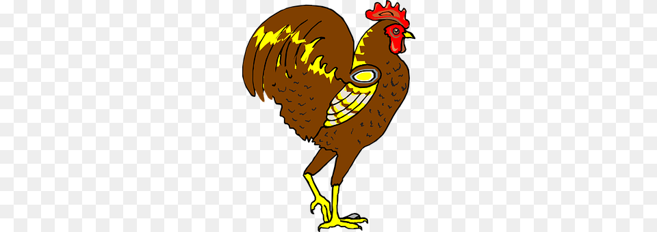 Rooster Animal, Bird, Fowl, Poultry Png