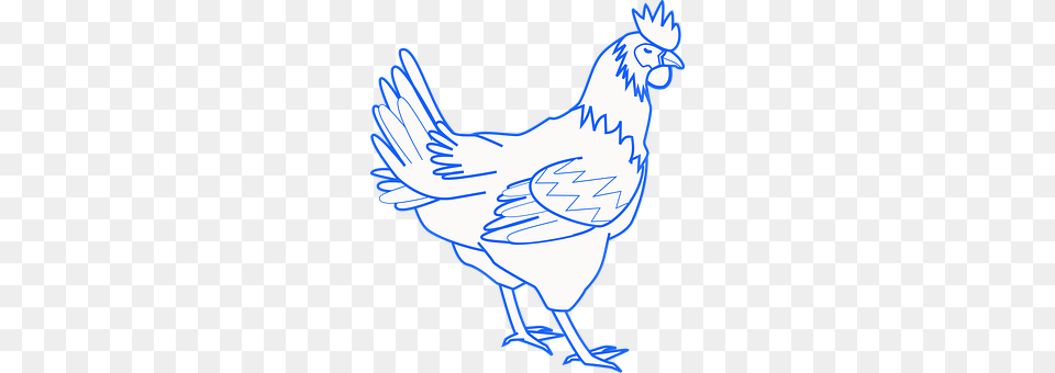 Rooster Animal, Bird, Chicken, Fowl Free Transparent Png