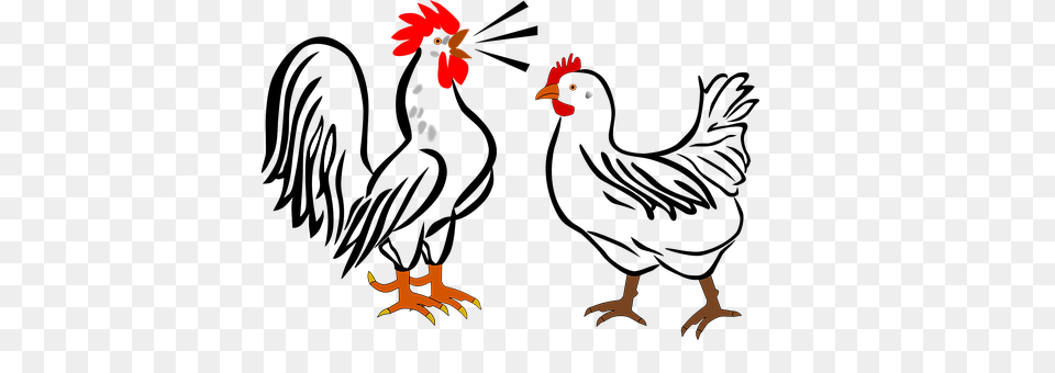 Rooster Animal, Bird, Chicken, Fowl Free Transparent Png