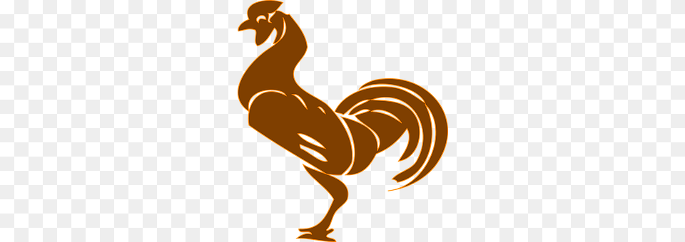 Rooster Animal, Adult, Bird, Female Png