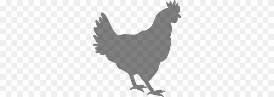 Rooster Gray Free Png Download