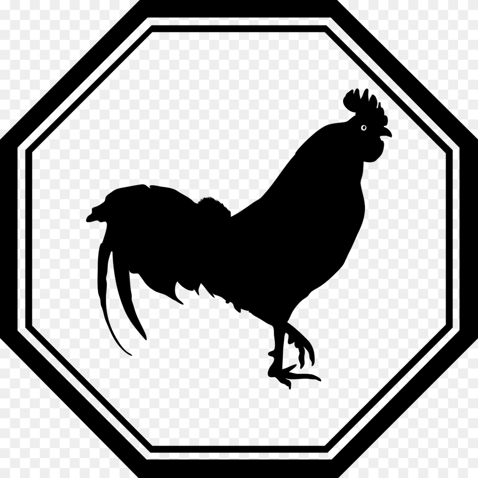 Rooster, Gray Png Image