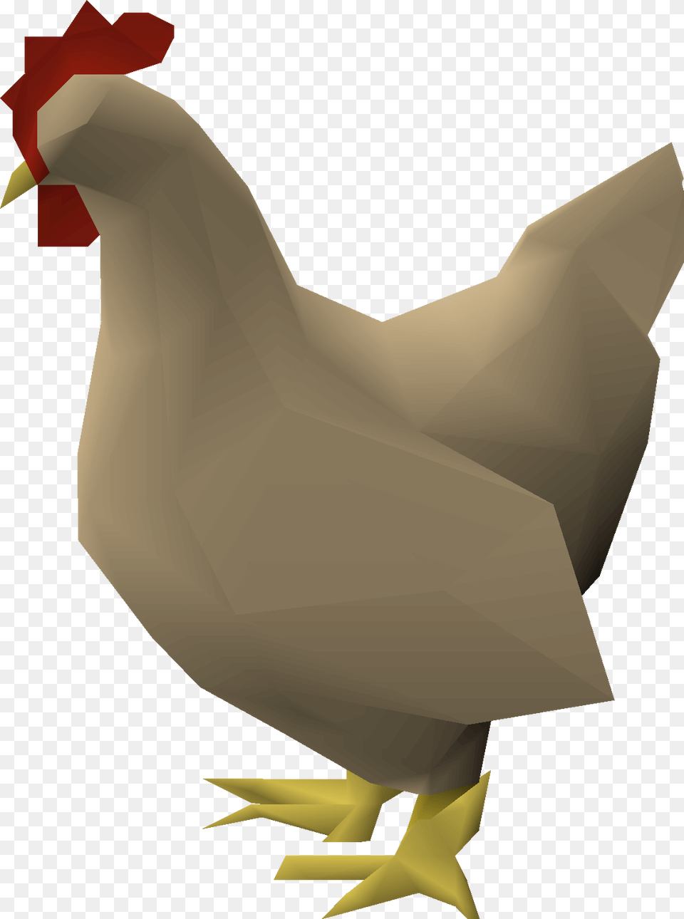 Rooster, Animal, Bird, Chicken, Fowl Free Transparent Png