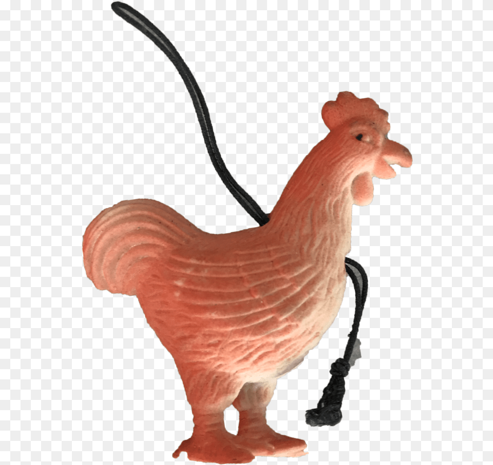 Rooster, Animal, Bird, Chicken, Fowl Free Png Download