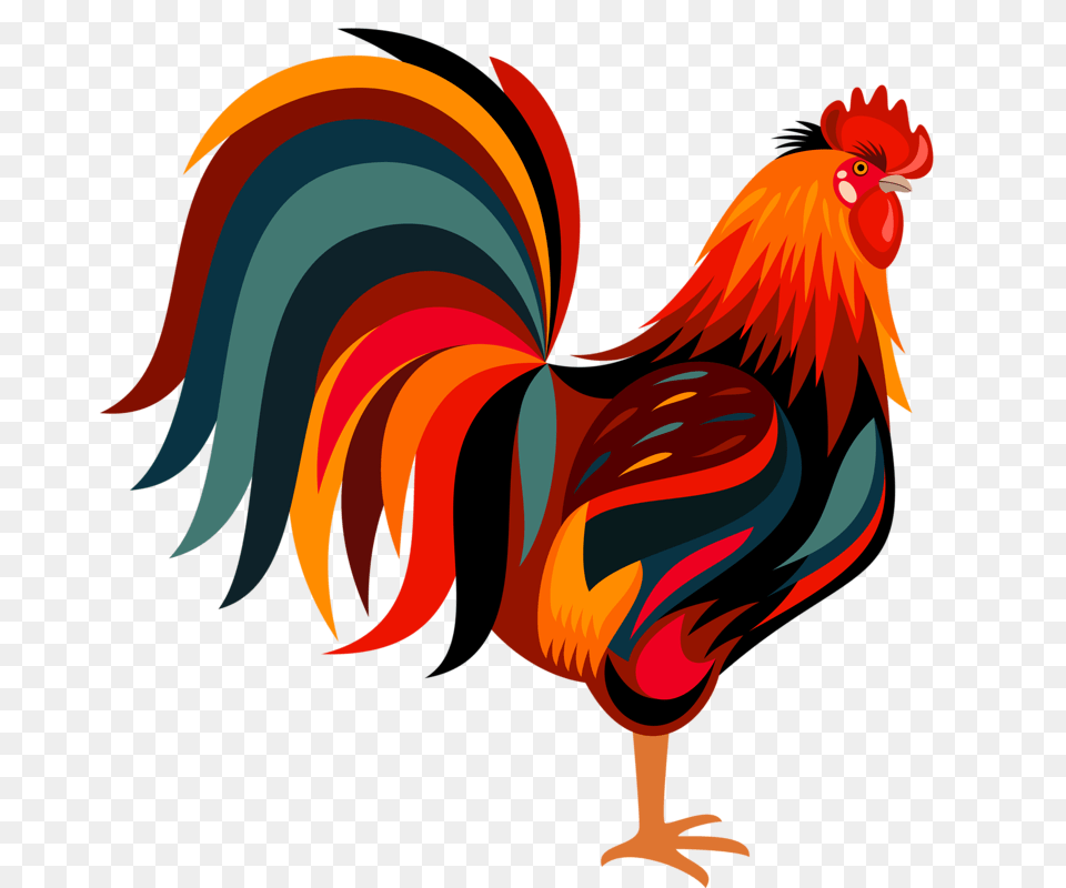 Rooster, Animal, Bird, Chicken, Fowl Png