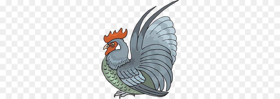 Rooster Animal, Beak, Bird Free Transparent Png