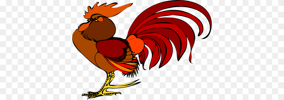 Rooster Animal, Bird, Chicken, Fowl Free Transparent Png