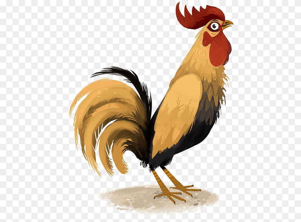 Rooster, Animal, Bird, Chicken, Fowl Free Transparent Png