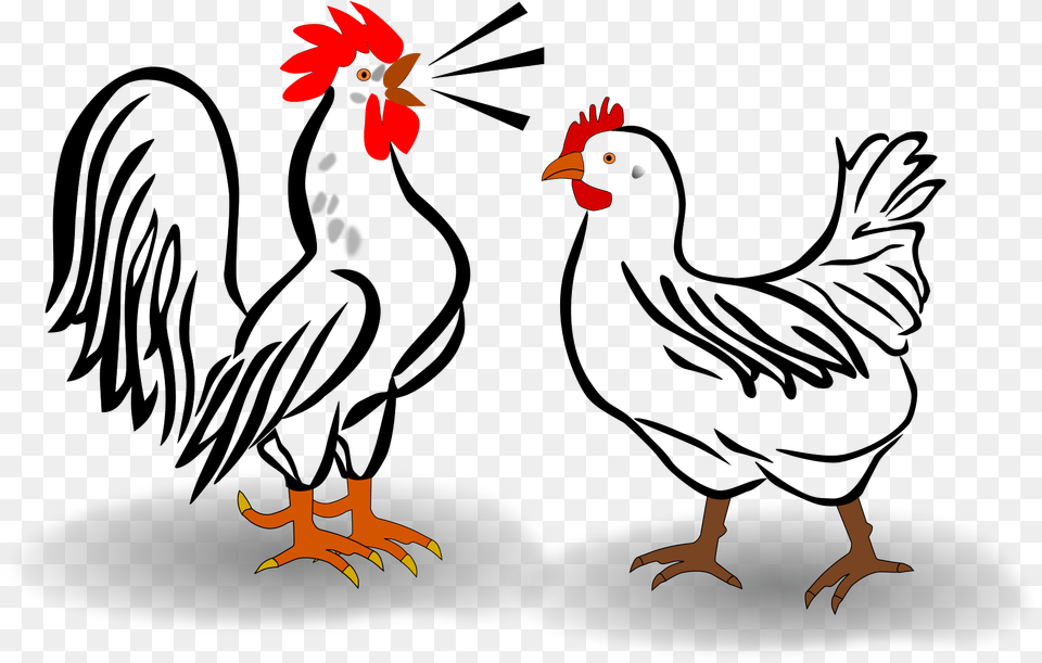 Rooster And Chicken Clip Arts Rooster Clip Art, Animal, Bird, Fowl, Poultry Free Transparent Png