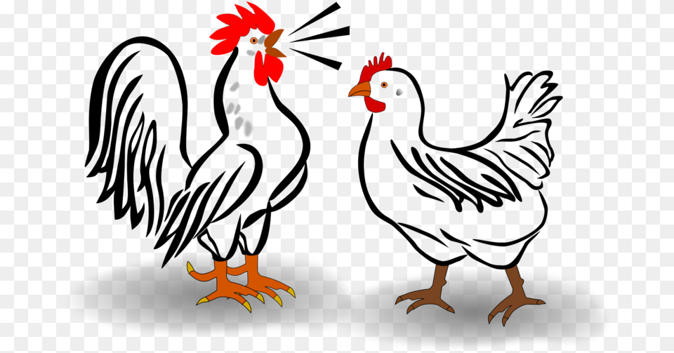 Rooster And Hen Cartoon, Animal, Bird, Chicken, Fowl Png