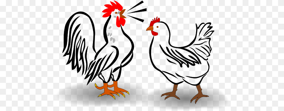 Rooster And Painting Books Arabic Word Of Cock, Animal, Bird, Poultry, Fowl Free Transparent Png