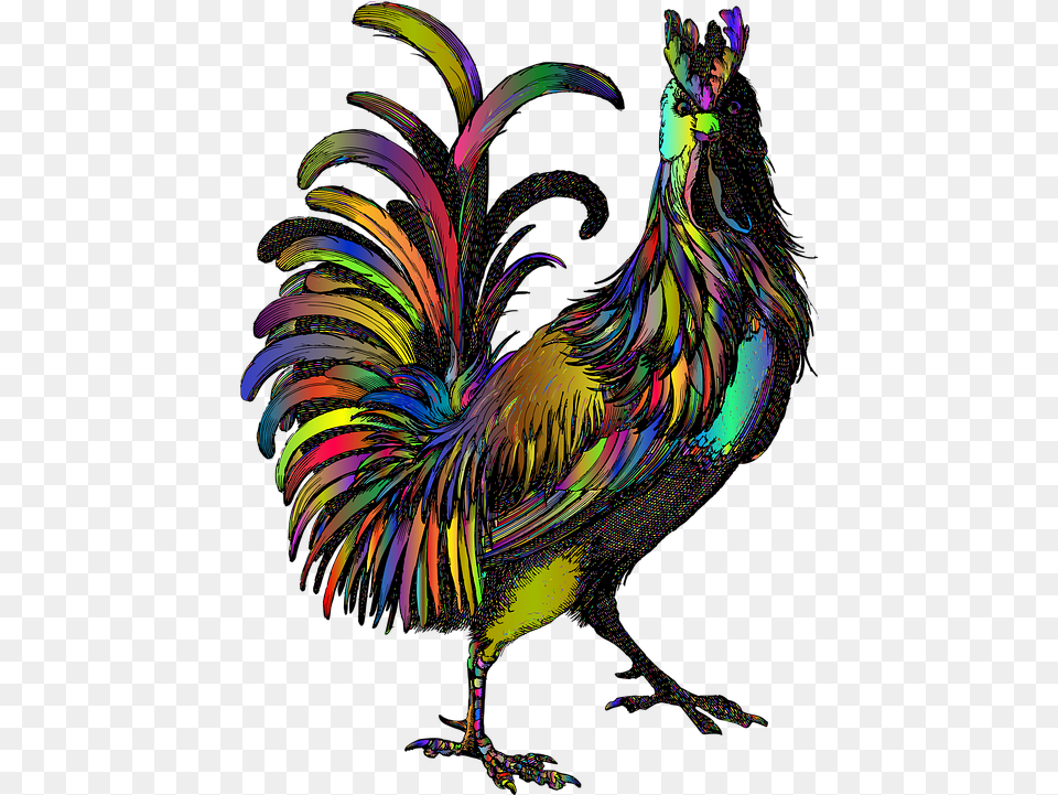 Rooster Animal Line Art Haan, Pattern, Bird Free Transparent Png