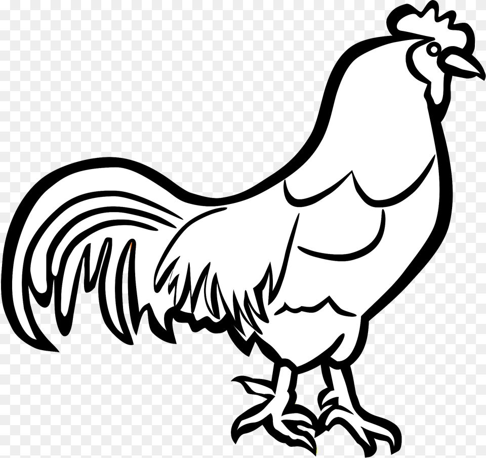Rooster Black And White Line Art Clipart, Animal, Bird, Fowl, Poultry Free Transparent Png