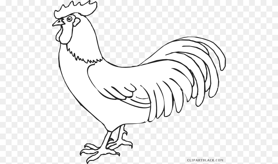 Rooster Black And White Rooster Black And White Clip Art, Animal, Bird, Stencil, Fowl Free Png Download