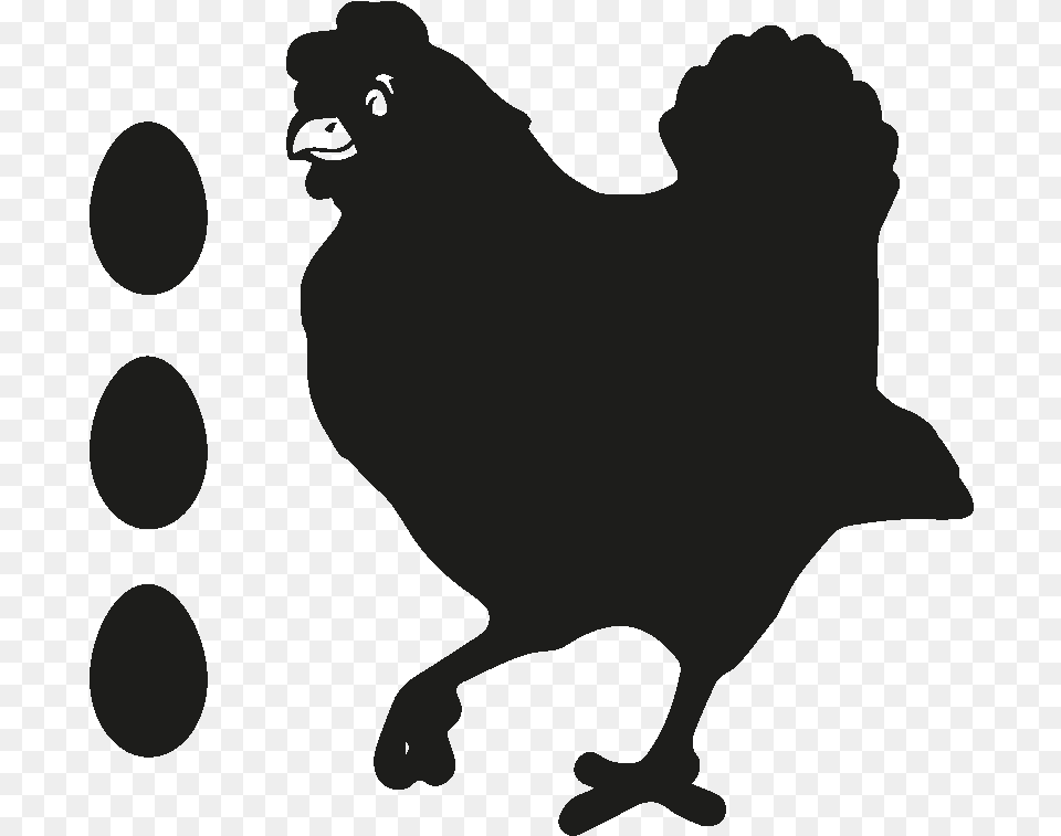 Rooster Brahma Chicken Hen Drawing Disegno Gallina Immagini, Animal, Bird, Fowl, Poultry Free Transparent Png