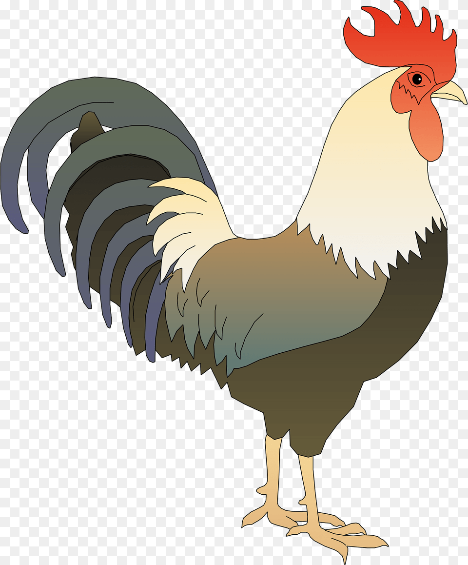 Rooster By Andinuryadin Clipart, Animal, Bird, Chicken, Fowl Free Transparent Png