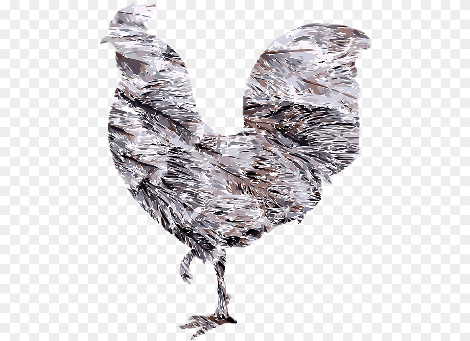 Rooster Chicken Bird Rooster, Aluminium, Adult, Person, Woman Free Transparent Png